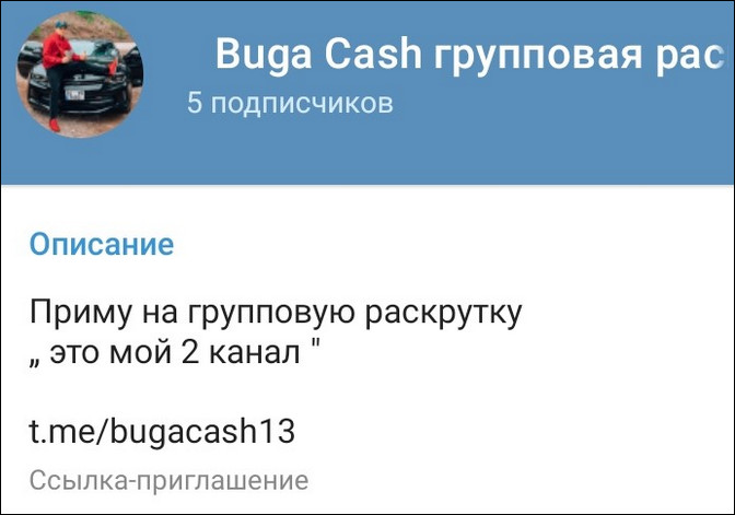 Количество подписчиков на канале Buga Cash