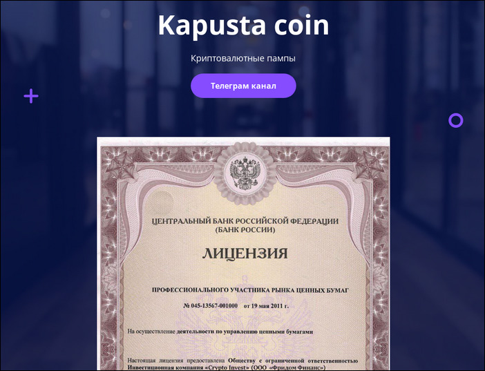 Внешний вид Kapusta coin
