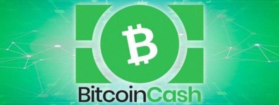 Биткоин Кэш (Bitcoin Cash): что это — описание криптовалюты простыми словами