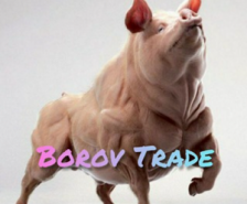 Borov Trade — аналитика криптовалюты в ТГ, отзывы