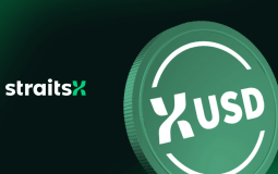 XUSD: обзор монеты, преимущества и риски