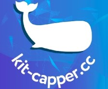 Кит Каппер (kit capper ru): анализ, статистика, цены проекта