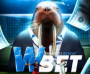 WALRUS BET — прогнозы на спорт, отзывы