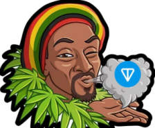 Snoop Ton — отзывы о ТГ канале, что предлагает подписчикам