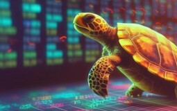 Стратегия трейдинга на черепахах: способы работы, статистика