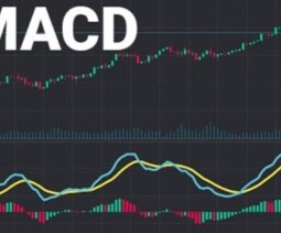 Стохастик и стохастик RSI — что за индикаторы, как пользоваться