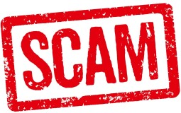 Что значит scam в Телеграмме и как пожаловаться на канал, чтобы его заблокировали