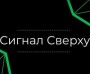 «Диалектика Капитала» («Сигнал Сверху») — отзывы о трейдерском проекте в «Телеграм»