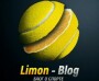 Лимон Блог (LIMON — BLOG): телеграм-канал, отзывы, статистика