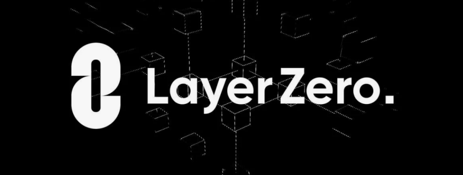 Обзор проекта layerzero foundation