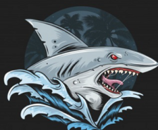 IPO Sharks — обзор ТГ проекта, отзывы