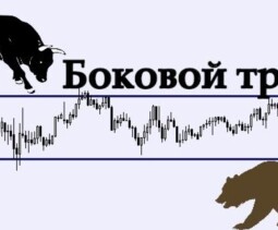 Вега опциона: что это такое, как рассчитывается, значения коэффициента для разных опционов