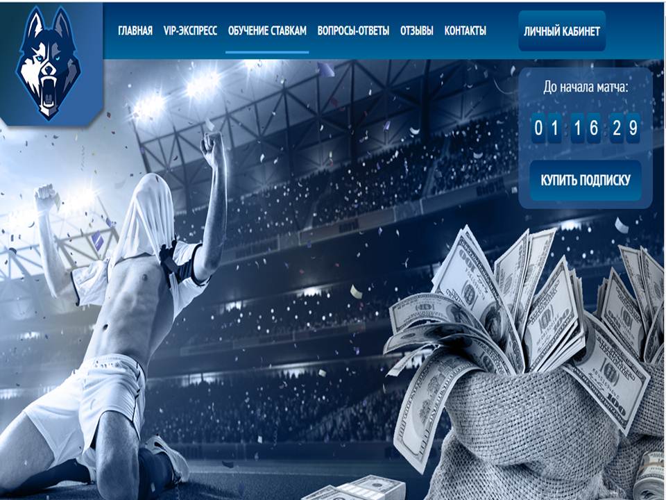 Обзор, анализ, статистика и отзывы о проекте Bet Pro (bettpro com)