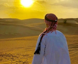 Shama bets (ex. Абубакиров): телеграмм канал, отзывы о каппере, цены