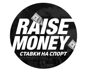 Raise Money (Димас из Батайска): телеграмм, статистика, анализ, отзывы