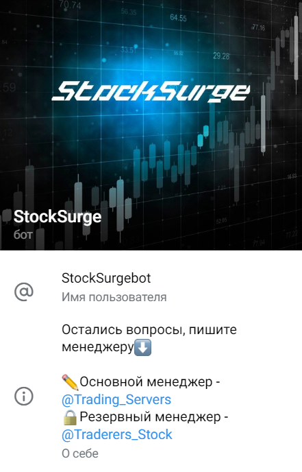 Проект StockSurge