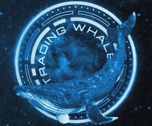 Канал Trading Whale — обзор проекта и отзывы о трейдере Владимире Шпиро