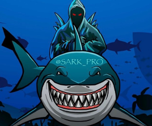 «Акула в мире ставок» — прогнозы на теннис, отзывы о каппере Максиме Кылине (@SARK_PRO)