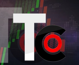 Ольга Строгова — обзор услуг трейдера, отзывы