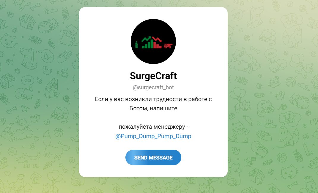 SurgeCraft