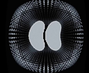 TimeToCrypto — торговля криптовалютой, отзывы