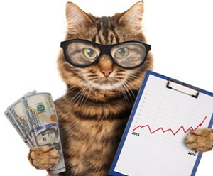 Кот с Уолл Стрит — канал о трейдинге, отзывы