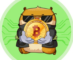 Пузыря нет — канал о трейдинге крипты, отзывы