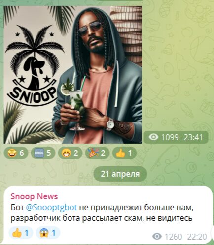 Проблемы проекта Snoop Ton