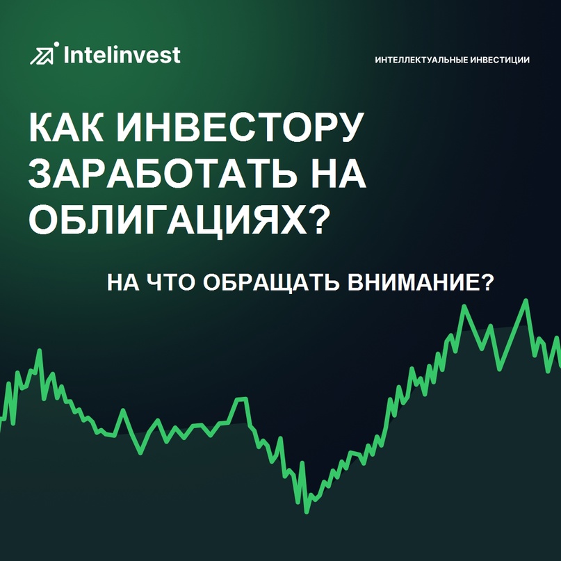 IntelInvest 