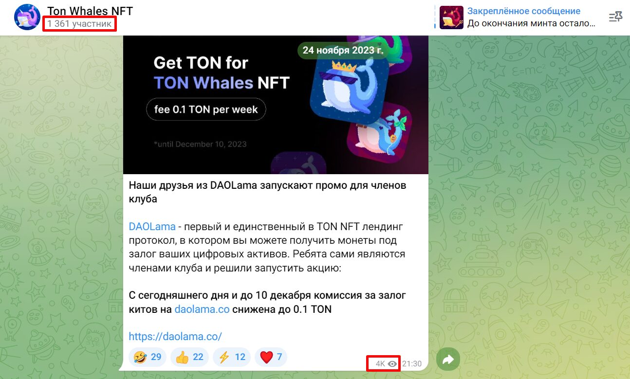 Ton Whales NFT активность подписчиков