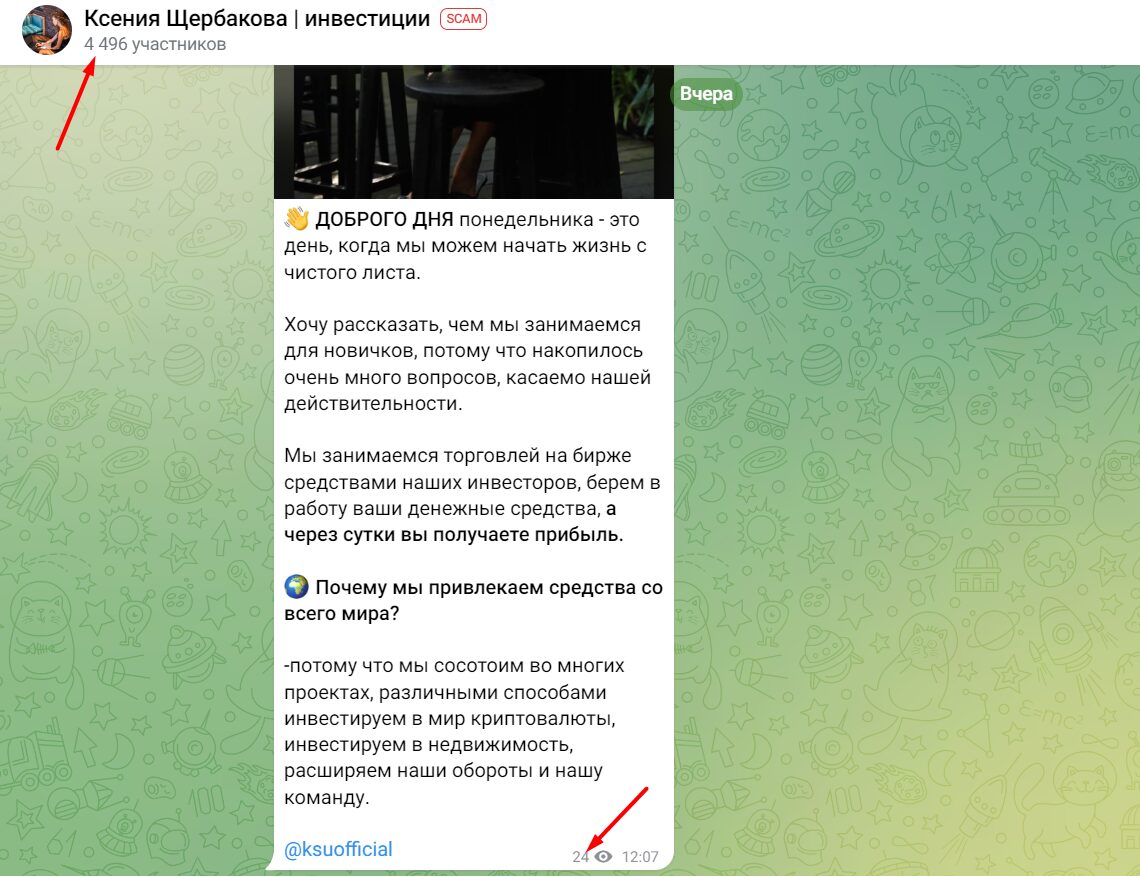 Ксения Щербакова  инвестиции активность подписчиков