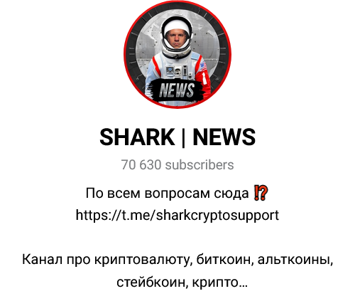 SHARK NEWS Главное фото