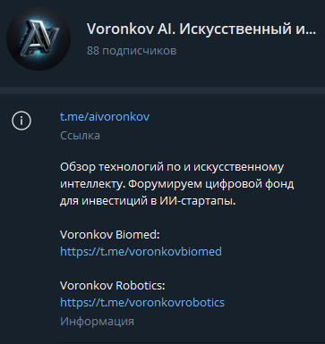 «Voronkov AI»