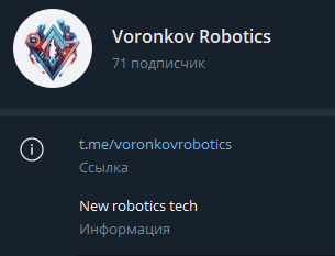 «Voronkov Robotics»