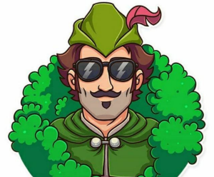 Крипто Робин Гуд — обзор проекта, реальные отзывы