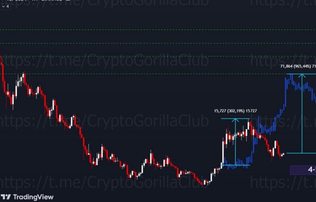 Анализ трейдера Crypto Gorilla