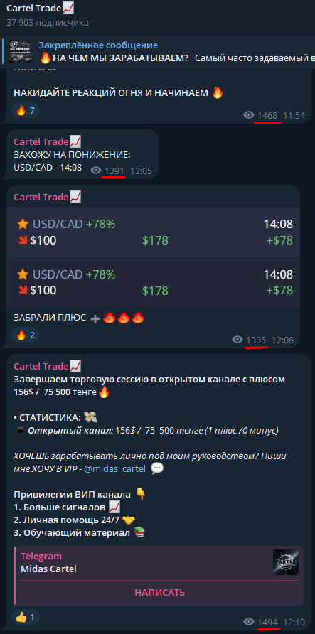 Cartel Trade - активность подписчиков канала