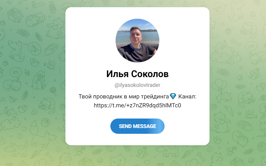 Илья Соколов в Телеграм