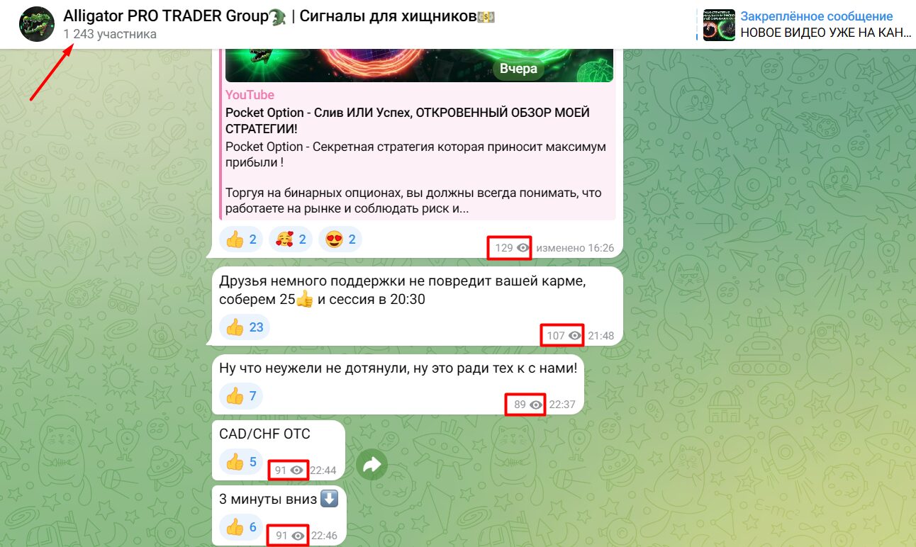 Активность подписчиков канала Alligator PRO TRADER Group