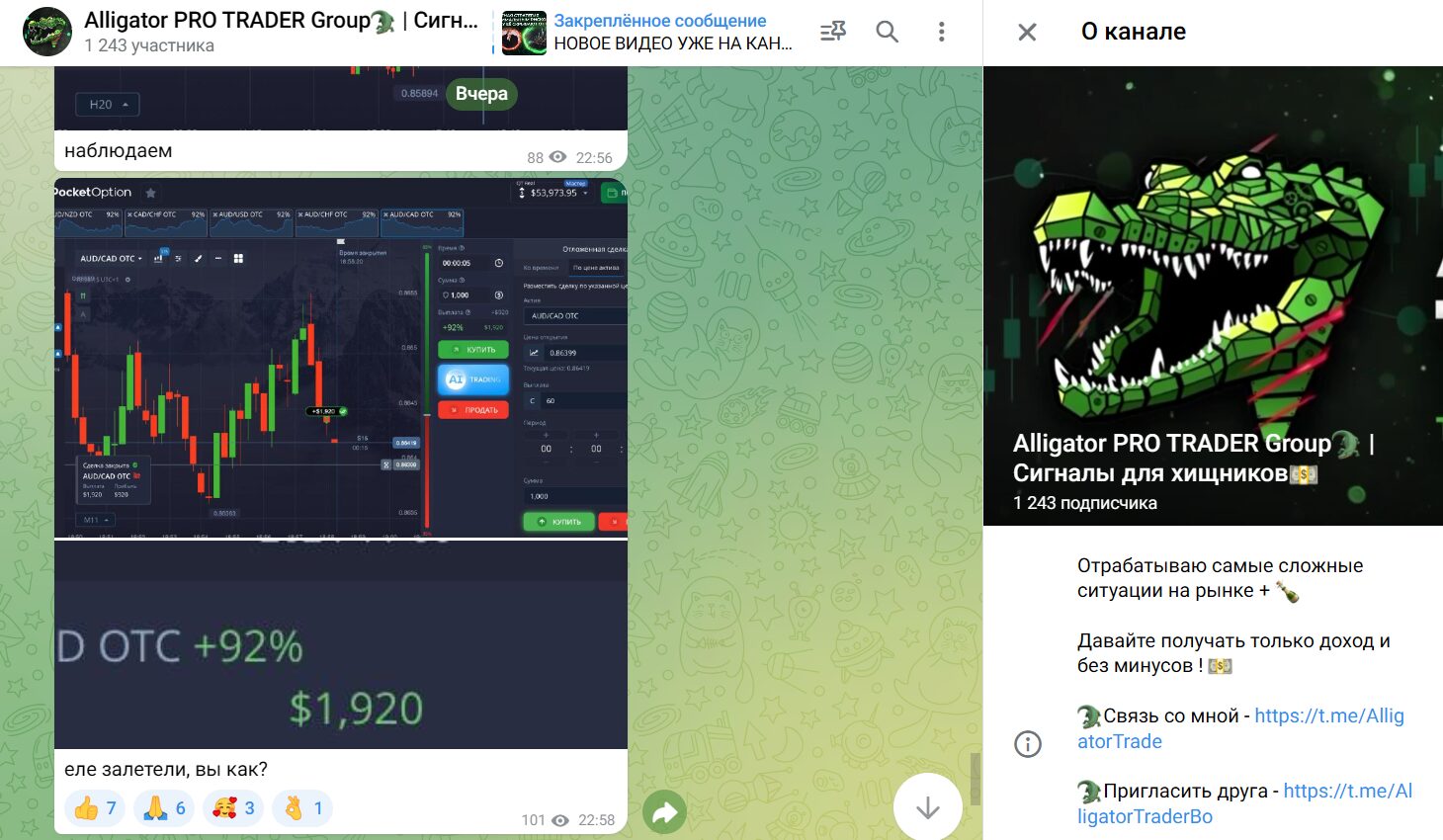 ТГ-канал Alligator PRO TRADER Group