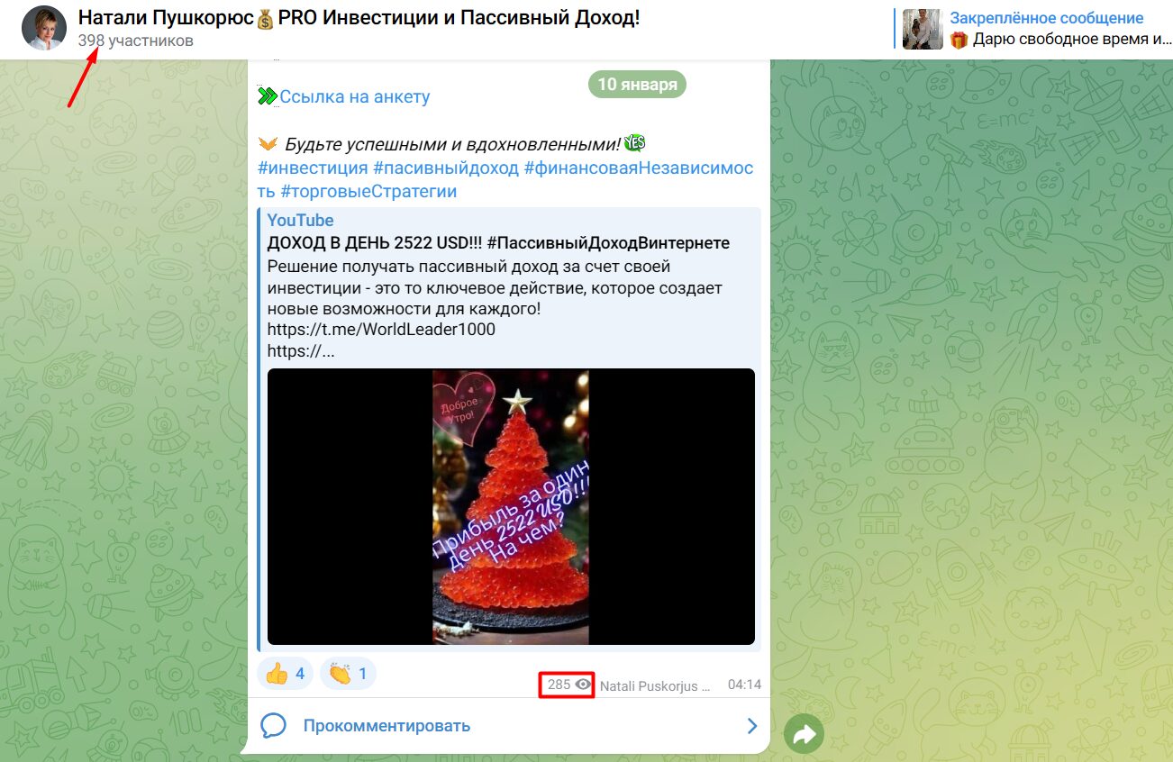 Активность подписчиков в телеграм-канале Натали Пушкорюс