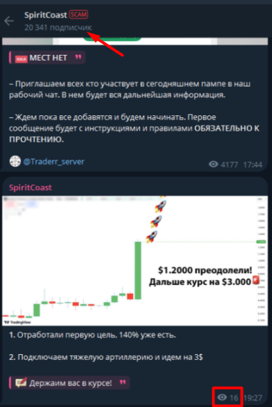 Активность подписчиков в телеграм-канале SpiritCoast