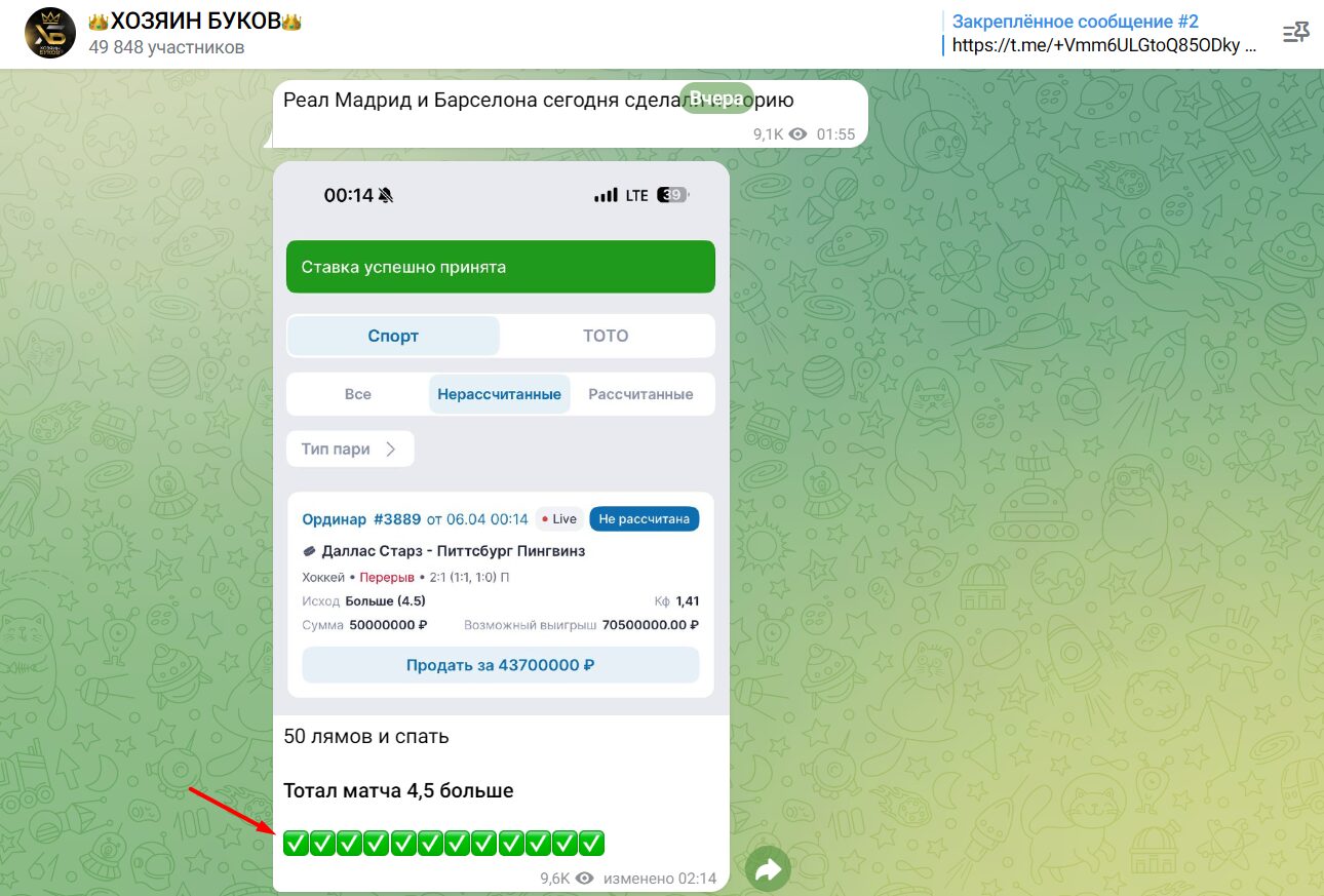 Статистика проекта «Хозяин буков»