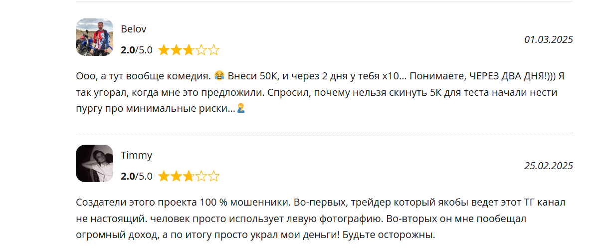 Team Viki отзывы