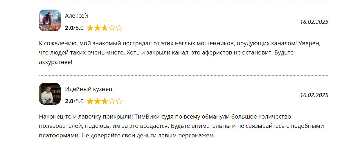 Team Viki реальные отзывы