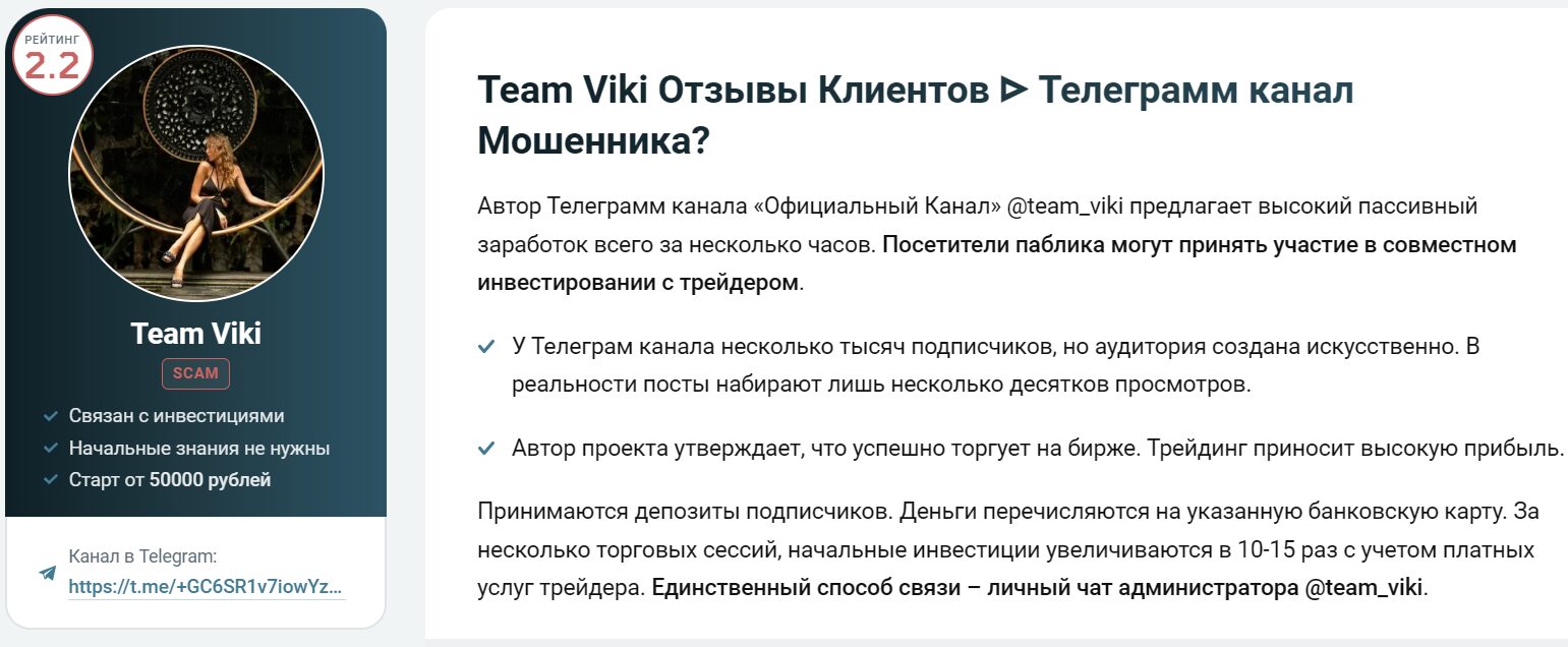 ТГ-канал Team Viki