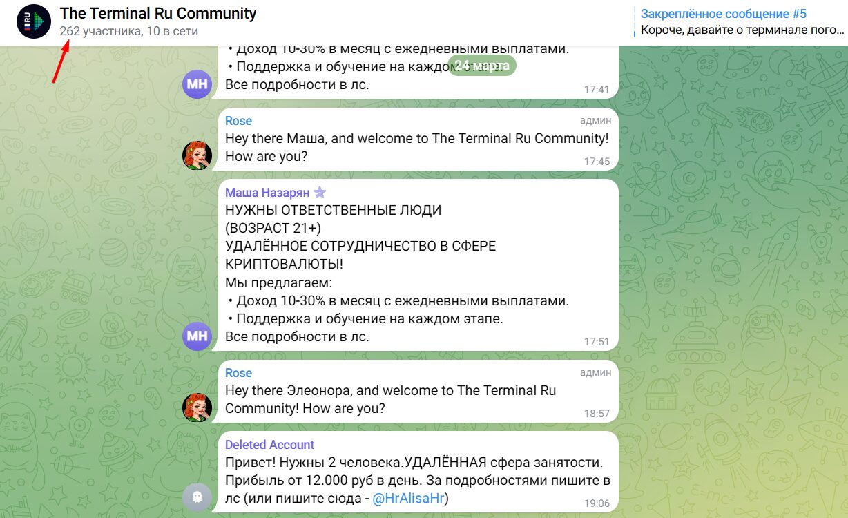 The Terminal Ru Community активность подписчиков