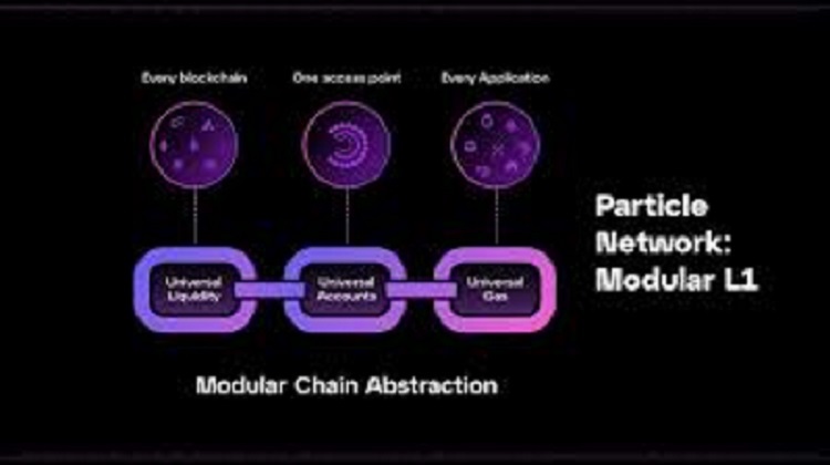 Particle Network что означает