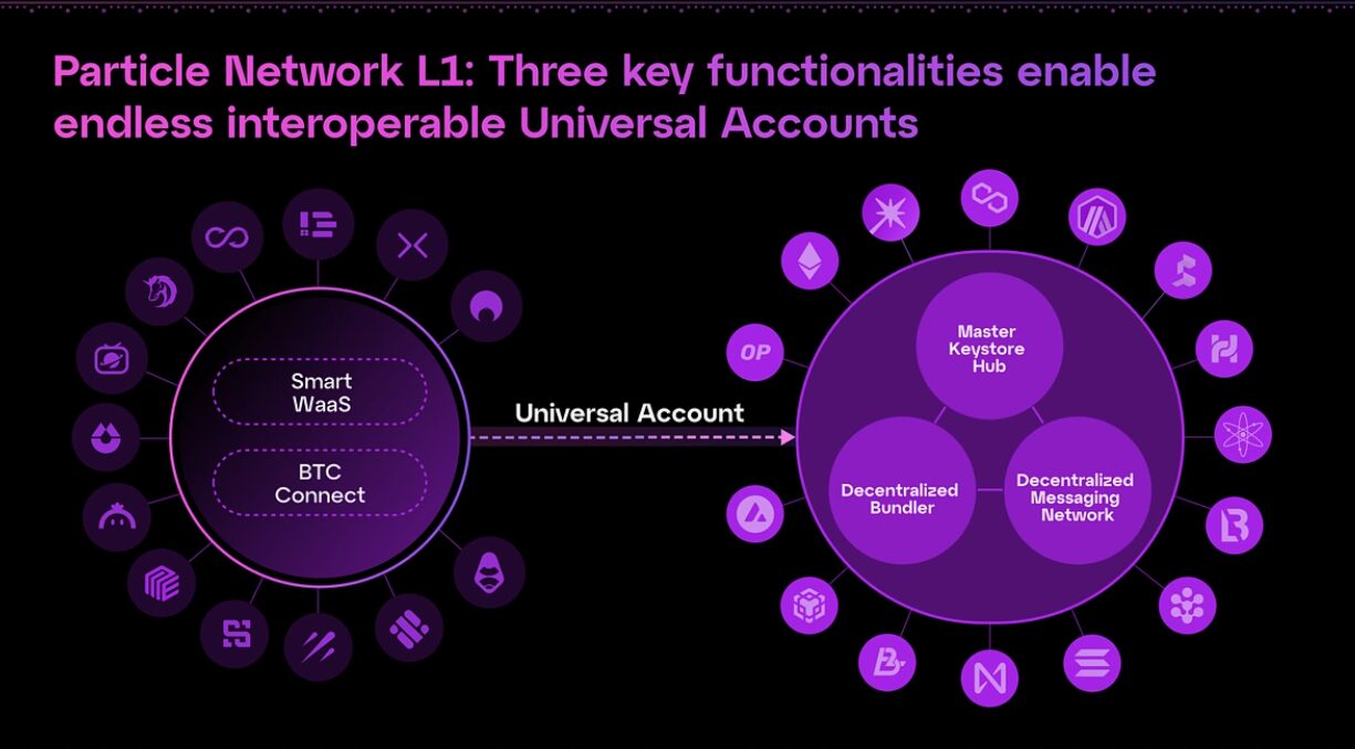 Particle Network - основные продукты
