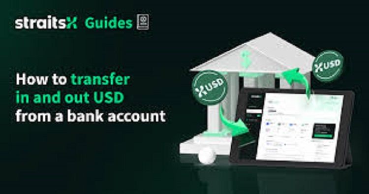 StraitsX USD (XUSD) особенности